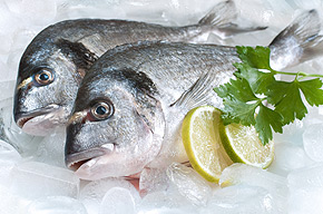 Peixe Congelado